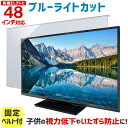 【全品5%OFFクーポン★4/24 20時～4/30 09:59まで】有機ELテレビ保護パネル ブルーライトカット 48インチ 48型 固定ベルト付【3mm厚】【カット率44.73％】【有機ELテレビ 液晶テレビ 保護パネル 保護フィルム 液晶保護パネル テレビ 保護 カバー テレビガード】 48MBL-EL