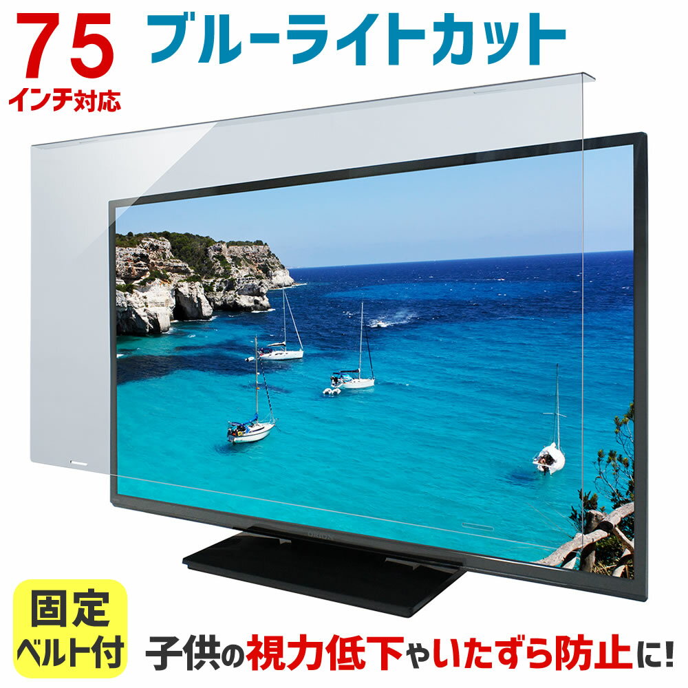 SONY BRAVIA KJ-49X8500G [49インチ] 機種で使える 反射防止 ノングレア 液晶保護フィルム 液晶TV 保護フィルム メール便送料無料