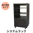 【10%OFFクーポン★7/4 20時~7/11 01:59】システムラック カラオケラック【奥行薄型タイプ 電子目次本用スタンド取付可能】 MKB-R12