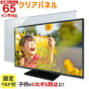 有機ELテレビ保護パネル 65インチ 65型 クリアパネル 固定ベルト付  TGCL-65-EL