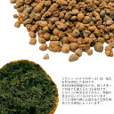 tanoshimidori:10000132のサンプル画像3