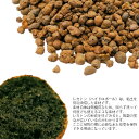 tanoshimidori:10000133のサンプル画像3