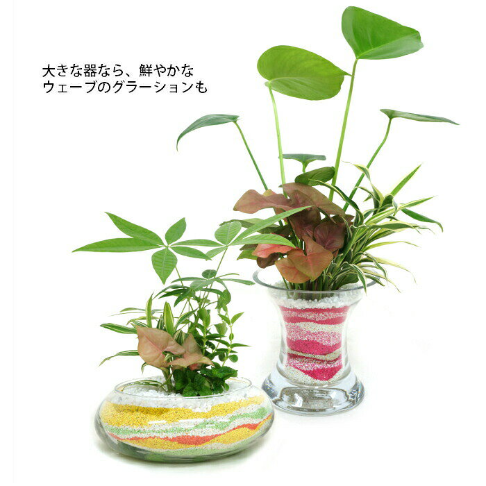 カラーサンド 値下げ 中粒 130ml 観葉植物 ハイドロカルチャー用