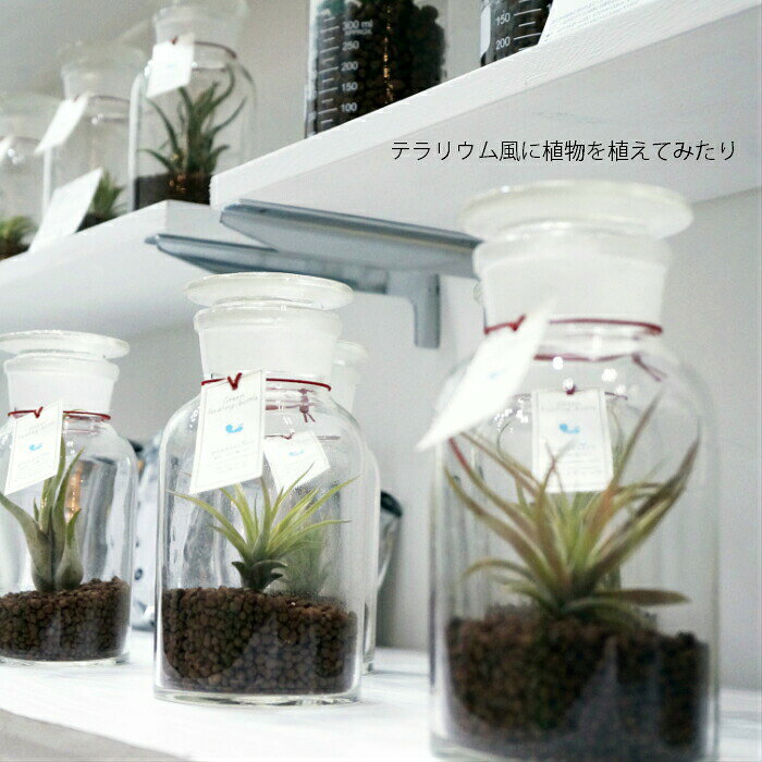 【器】 メディスンボトル 試薬瓶 500ml 観葉植物 ハイドロカルチャー 向き