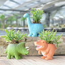 観葉植物 鉢が選べる リプサリス ディスキディア 恐竜鉢 動物鉢 植物セット ハイドロカルチャー ミニ観葉 多肉