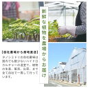tanoshimidori:10001070のサンプル画像2