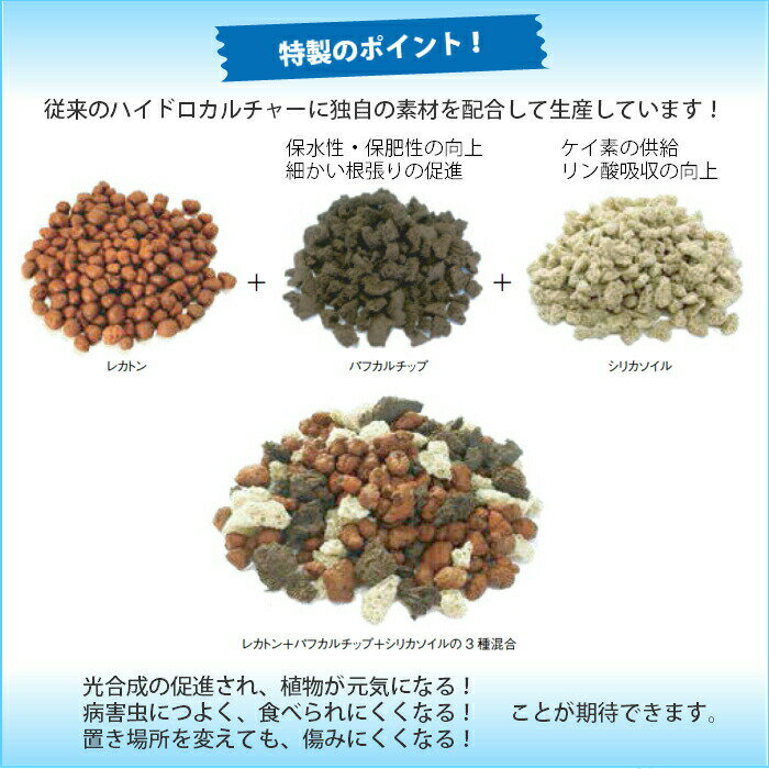 ドラセナ ワーネッキー レモンライム 送料込み 水やり簡単 ハイドロカルチャー 水位計つき ソーホーラウンド2 樹脂鉢セット タノシミドリ ドラセナ ワーネッキー レモンライム 送料込み 水やり簡単 ハイドロカルチャー 水位計つき ソーホーラウンド2 樹脂鉢セット タノシミドリ