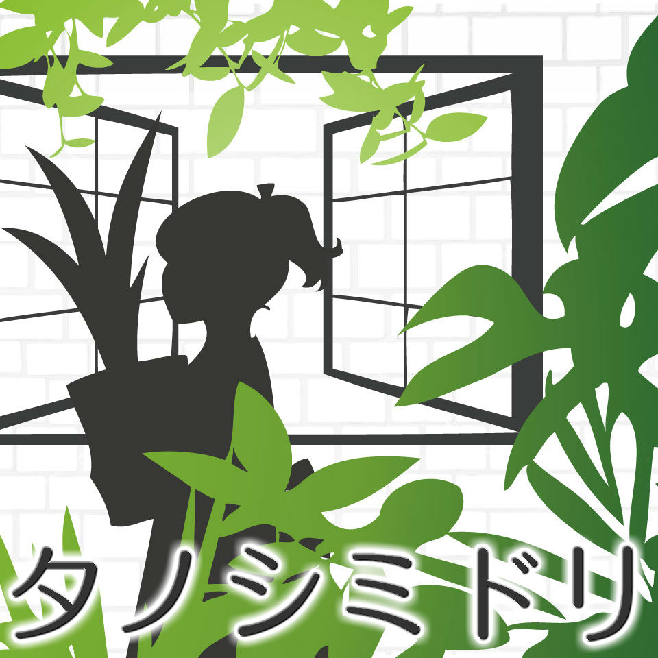 Shop icon