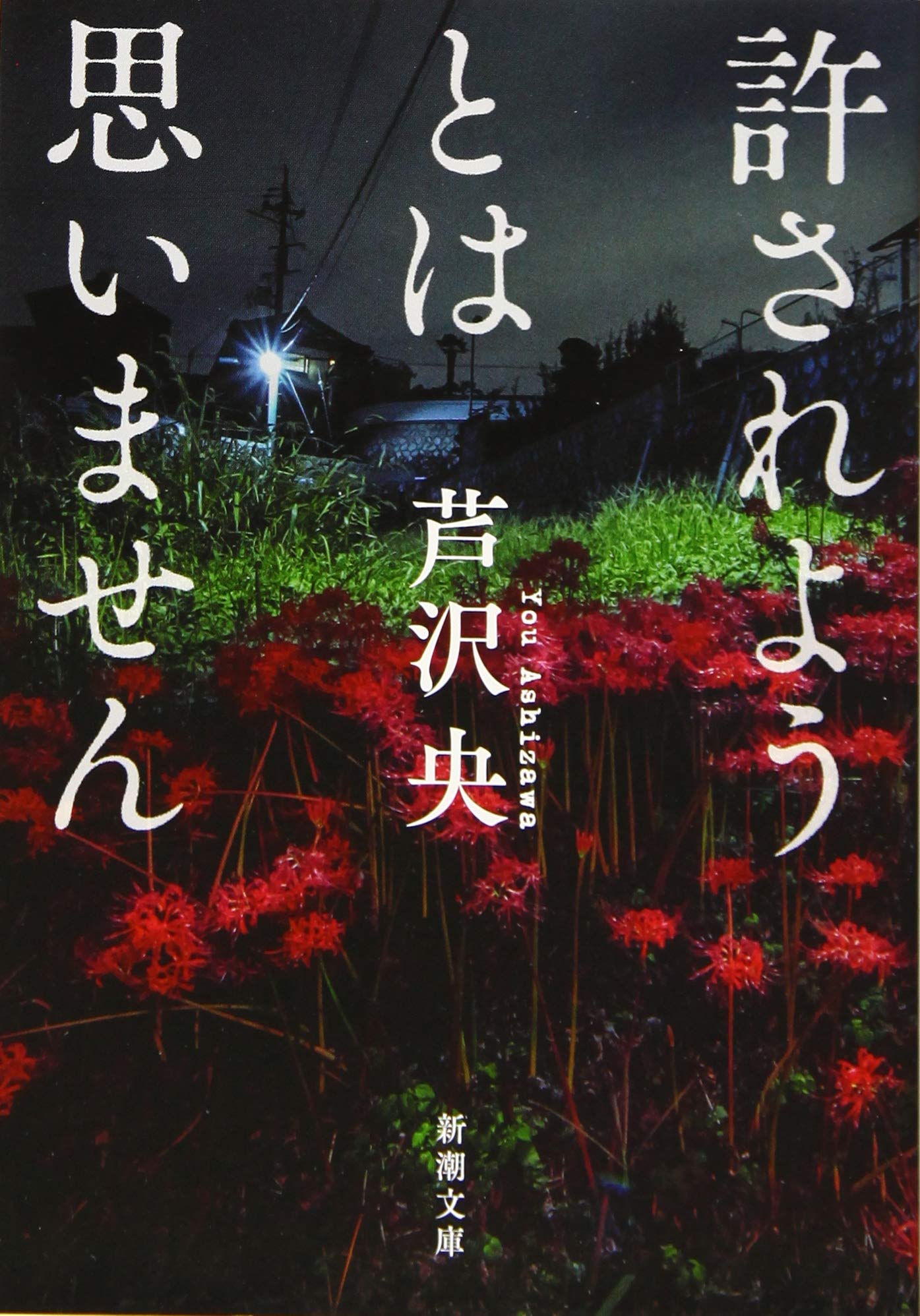 許されようとは思いません (新潮文庫)