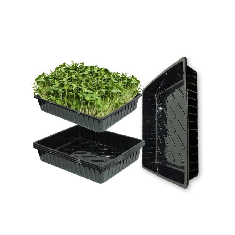 Rakuten - BeGrit 5ピース 苗ポット 苗トレイ 水耕栽培 発芽植物輸送 多肉植物 便利で丈夫 ガーデニング 苗箱