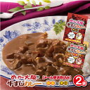 ご当地グルメ めっちゃ大阪 とろっとろの牛すじカレー(2袋)⇒【RCP】【1000円ポッキリ　送料無料】【メール便】レトルト 中辛 辛口 どちらか選べる