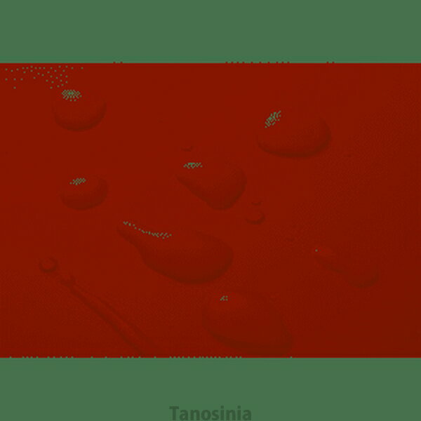 thum3