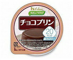 介護食 やさしくラクケアシリーズ 20kcalチョコプリン 82972 60g×10個