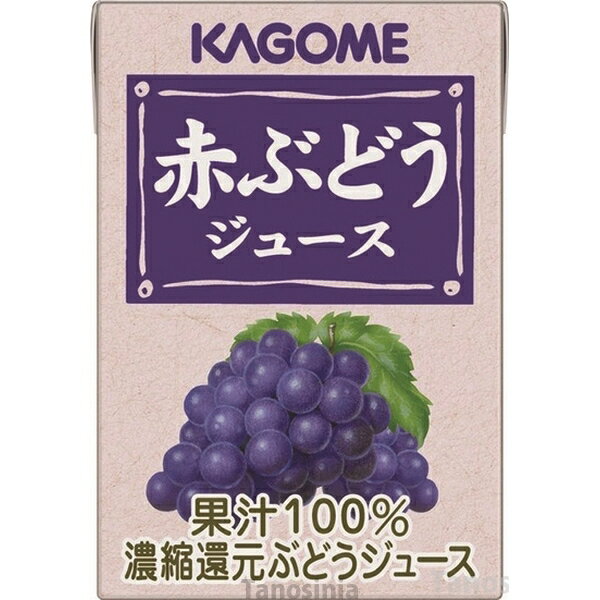 カゴメ 赤ぶどうジュース 業務用 5885 100mL 介護食 デザート ジュース 飲みきりサイズ 紙パック 水分補給 常温保存可能 K22-1