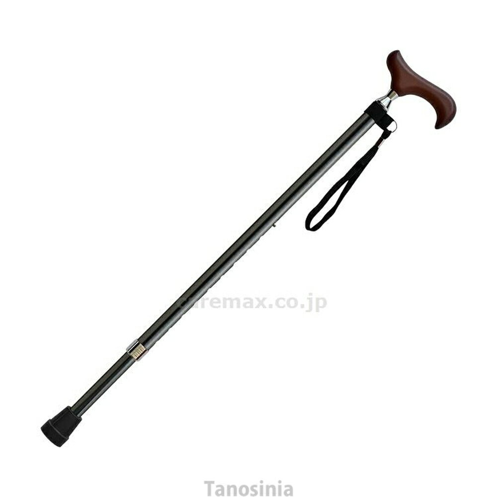 介護 杖 1本杖 アルミ SGマーク 男性 紳士 愛杖Eシリーズ 伸縮太杖 E-301 ケイ・ホスピア k24-1