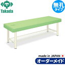 業務用ベッド 整体治療施術ベッド 外脚DXベッド-8 TB-1034 整骨院 治療院 リハビリ 訓練台 高田ベッド製作所 整体ベッド 施術台 施術ベッド エステベッド