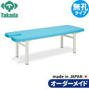 業務用ベッド 整体DX TB-105 整骨院 治療院 リハビリ 訓練台 高田ベッド製作所 整体ベッド 施術台 施術ベッド エステベッド