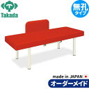 業務用ベッド FG型DXベッド TB-1088 整骨院 治療院 リハビリ 訓練台 高田ベッド製作所 整体ベッド 施術台 施術ベッド エステベッド