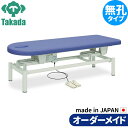電動昇降ベッド 高田ベッド製作所 電動WFベッド 電動ベッド 電動昇降台 業務用ベッド 電動スマイル TB-112 整骨院 治療院 リハビリ 訓練台 整体ベッド 施術台 施術ベッド エステベッド オーダーメイド 日本製