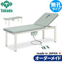 フェイシャルエステチェア ネイル アイラッシュ用チェア リクライニングチェア 電動アシストベッド-1 TB-115 施術台 施術ベッド エステベッド