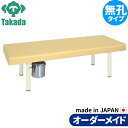 業務用ベッド DXベッド(汚物缶付き) TB-1249 整骨院 治療院 リハビリ 訓練台 高田ベッド製作所 整体ベッド 施術台 施術ベッド エステベッド