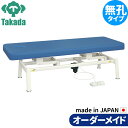 電動昇降ベッド 高田ベッド製作所 電動WFベッド 電動ベッド 電動昇降台 業務用ベッド TB-1321 電動LSベッド 整骨院 治療院 整体ベッド 施術台 施術ベッド エステベッド オーダーメイド 日本製