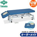 電動昇降ベッド 高田ベッド製作所 電動WFベッド 電動ベッド 電動昇降台 業務用ベッド MSDトリート TB-1343 整骨院 治療院 リハビリ 訓練台 整体ベッド 施術台 施術ベッド エステベッド オーダーメイド 日本製