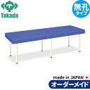 業務用ベッド DXポーター TB-1352 高田ベッド製作所 高田ベッド製作所 整体ベッド 施術台 施術ベッド エステベッド