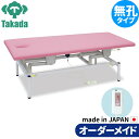 有孔電動アイホットリモス TB-1634 高田ベッド 整骨院 治療院 リハビリ 訓練台 整体ベッド 施術台 施術ベッド エステベッド オーダーメイド 日本製(3)
