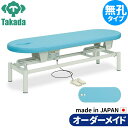 電動昇降ベッド 高田ベッド製作所 電動WFベッド 電動ベッド 電動昇降台 業務用ベッド 電動フィールド TB-195 整骨院 治療院 リハビリ 訓練台 整体ベッド 施術台 施術ベッド エステベッド オーダーメイド 日本製
