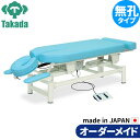 電動昇降ベッド 高田ベッド製作所 電動WFベッド 電動ベッド 電動昇降台 業務用ベッド ゼウス TB-306 整骨院 治療院 リハビリ 訓練台 整体ベッド 施術台 施術ベッド エステベッド オーダーメイド 日本製