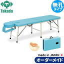 折りたたみベッド ポータブルベッド 持ち運び 業務用ベッド レイク TB-317 整骨院 高田ベッド製作所 整体ベッド 施術台 施術ベッド エステベッド 治療ベッド オーダーメイド 日本製 長期保証