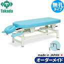 業務用ベッド モイス TB-390 整骨院 治療院 リハビリ 訓練台 高田ベッド製作所 整体ベッド 施術台 施術ベッド エステベッド