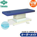 電動昇降ベッド 高田ベッド製作所 電動WFベッド 電動ベッド 電動昇降台 業務用ベッド 垂直電動SFタイプ TB-514 整体ベッド 施術台 施術ベッド エステベッド オーダーメイド 日本製