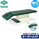 電動昇降ベッド 高田ベッド製作所 電動WFベッド 電動ベッド 電動昇降台 業務用ベッド 垂直電動Aタイプ TB-539 整体ベッド 施術台 施術ベッド エステベッド オーダーメイド 日本製