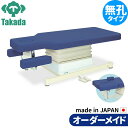 電動昇降ベッド 高田ベッド製作所 電動WFベッド 電動ベッド 電動昇降台 業務用ベッド 垂直電動Cタイプ TB-561 整体ベッド 施術台 施術ベッド エステベッド オーダーメイド 日本製