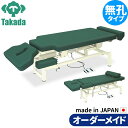 電動昇降ベッド 高田ベッド製作所 電動WFベッド 電動ベッド 電動昇降台 業務用ベッド Pro-styIeシェープ1 TB-580-01 整体ベッド 施術台 施術ベッド エステベッド オーダーメイド 日本製