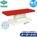 電動昇降ベッド 高田ベッド製作所 電動WFベッド 電動ベッド 電動昇降台 業務用ベッド 垂直電動Eタイプ TB-762 整体ベッド 施術台 施術ベッド エステベッド オーダーメイド 日本製
