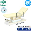 電動昇降ベッド 高田ベッド製作所 電動WFベッド 電動ベッド 電動昇降台 業務用ベッド 垂直電動2EZタイプ TB-869 整体ベッド 施術台 施術ベッド エステベッド オーダーメイド 日本製