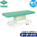 電動昇降ベッド 高田ベッド製作所 電動WFベッド 電動ベッド 電動昇降台 業務用ベッド 垂直電動HSタイプ TB-897 整体ベッド 施術台 施術ベッド エステベッド オーダーメイド 日本製