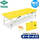【最大3000円OFFクーポンセール】折りたたみベッド ポータブルベッド 持ち運び 業務用ベッド MRセブン TB-999 高田ベッド製作所 整体ベッド 施術台...