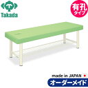 業務用ベッド 整体治療施術ベッド 有孔外脚DXベッド-8 TB-1034U 整骨院 治療院 リハビリ 訓練台 高田ベッド製作所 整体ベッド 施術台 施術ベッド エステベッド