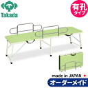 折りたたみベッド ポータブルベッド 持ち運び 業務用ベッド 有孔ガード付紛体ムーブ TB-1089U 整骨院 高田ベッド製作所 整体ベッド 施術台 施術ベッド エステベッド 治療ベッド オーダーメイド 日本製 長期保証