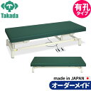有孔低床電動ハイロー TB-1151U 高田ベッド 整骨院 治療院 リハビリ 訓練台 整体ベッド 施術台 施術ベッド エステベッド オーダーメイド 日本製