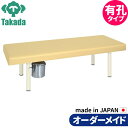 業務用ベッド 有孔DXベッド(汚物缶付き) TB-1249U 整骨院 治療院 リハビリ 訓練台 高田ベッド製作所 整体ベッド 施術台 施術ベッド エステベッド