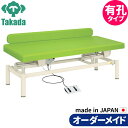 有孔LG型電動ハイロー TB-1285U 高田ベッド 整骨院 治療院 リハビリ 訓練台 整体ベッド 施術台 施術ベッド エステベッド オーダーメイド 日本製