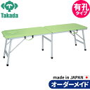 折りたたみベッド ポータブルベッド 持ち運び 業務用ベッド TB-1333U 有孔アルミムーブ 整骨院 コンパクト 高田ベッド製作所 整体ベッド 施術台 施術ベッド エステベッド 治療ベッド オーダーメイド 日本製 長期保証