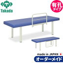 業務用ベッド マッサージベッド 有孔粉体F型DXベッド TB-145U 整骨院 治療院 リハビリ 訓練台 高田ベッド製作所 整体ベッド 施術台 施術ベッド エステベッド