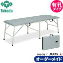 折りたたみベッド ポータブルベッド 持ち運び 業務用ベッド 有孔トライ TB-252U 整骨院 高田ベッド製作所 整体ベッド 施術台 施術ベッド エステベッド 治療ベッド オーダーメイド 日本製 長期保証