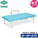 業務用ベッド 有孔F型オーダス TB-339U 整骨院 治療院 リハビリ 訓練台 高田ベッド製作所 整体ベッド 施術台 施術ベッド エステベッド